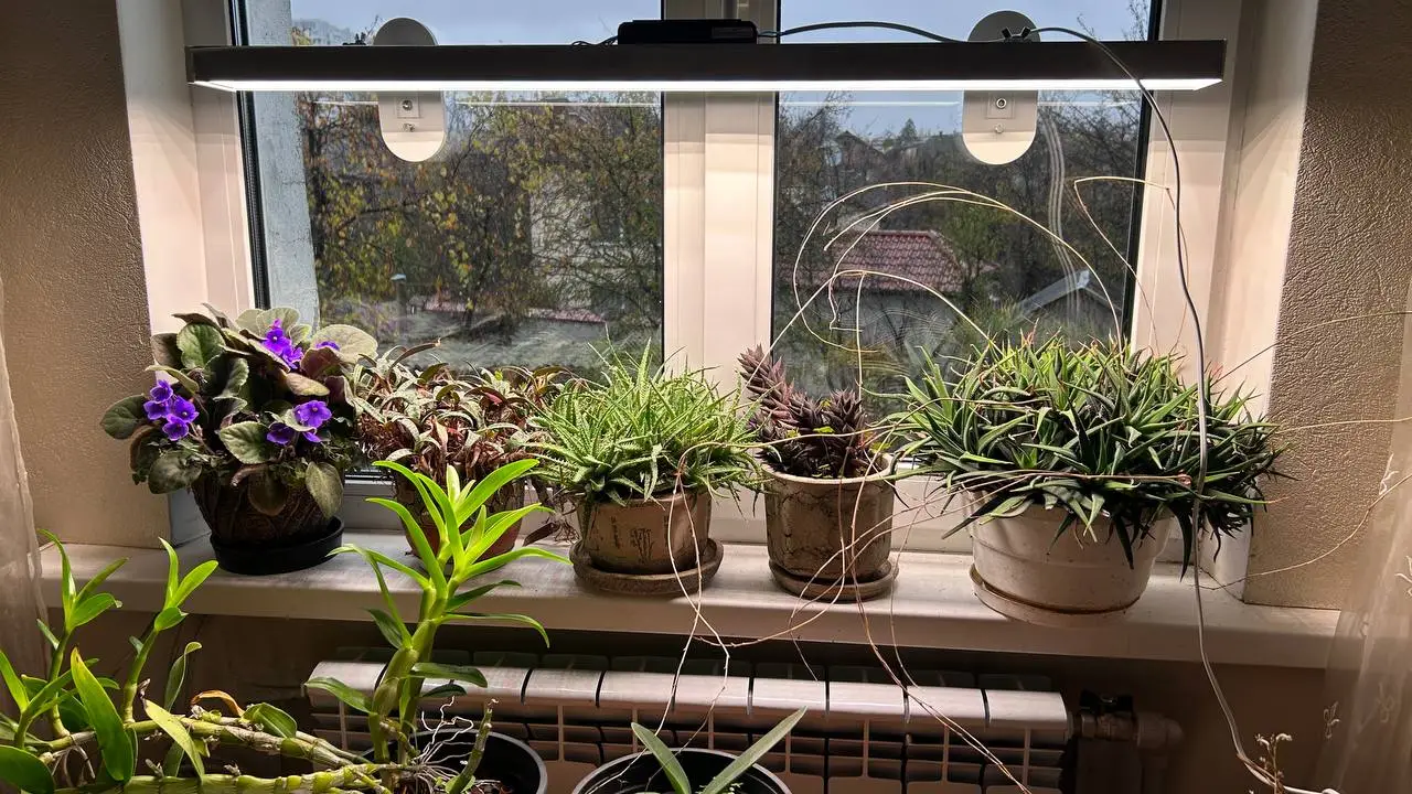 Фитосветильник Flora Glow 56 Вт (056320) - фото 4