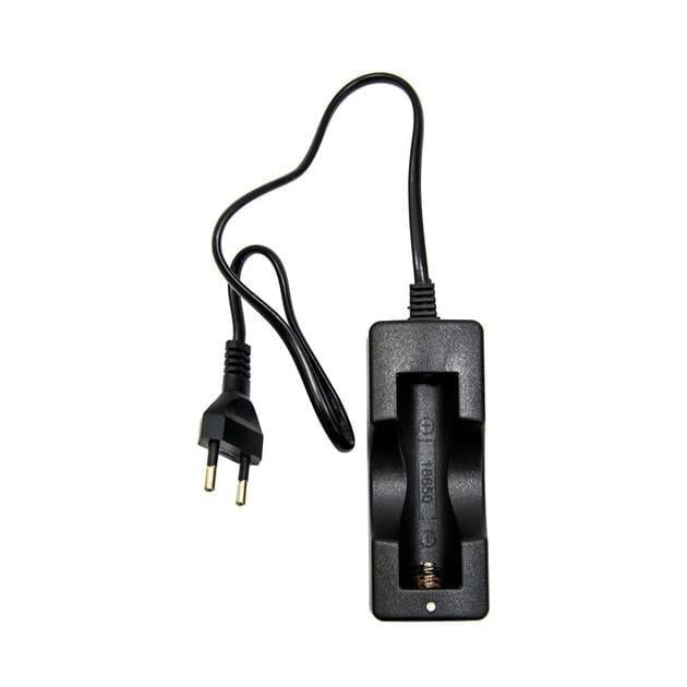 Зарядное устройство WW-001 для 1х18650 4,2V 220V (4068)