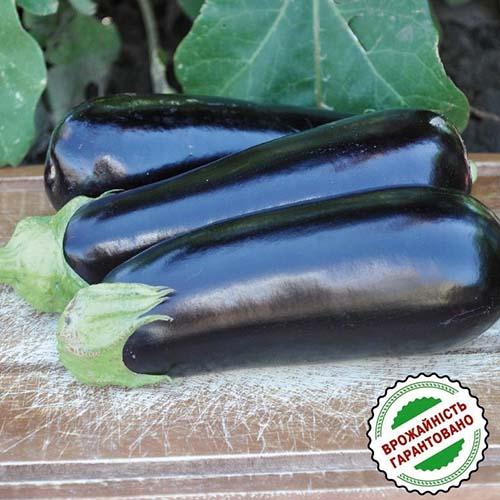 Насіння Баклажан Florium Анатолія F1 (13155) - фото 2 Насіння Баклажан Florium Анатолія F1 (13155) - фото 2