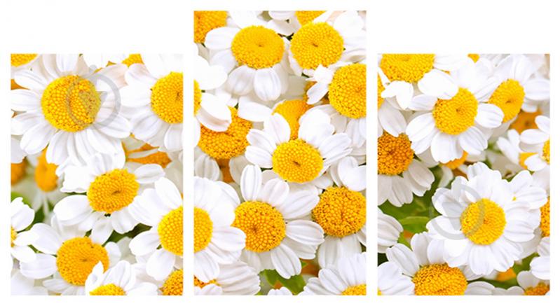 Модульная картина Декор Карпаты 100х53 см (M3-c249)