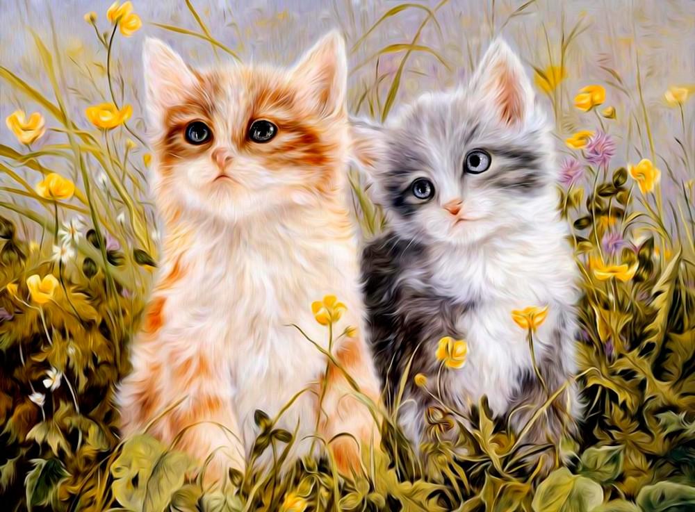 Алмазная мозаика на подрамнике Emerald Craft Котята на лугу 50x40 см (29413)