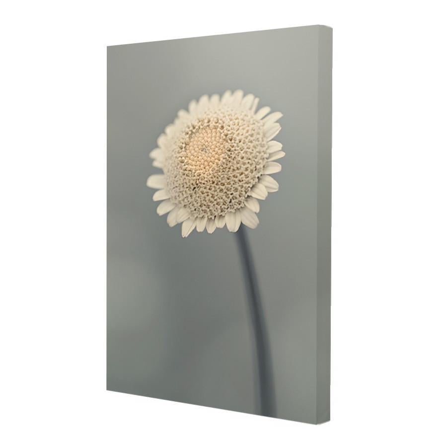 Набір постерів Riviera Blanca Квіткова імла 3 шт. (PS-002) - фото 4 Набір постерів Riviera Blanca Квіткова імла 3 шт. (PS-002) - фото 4