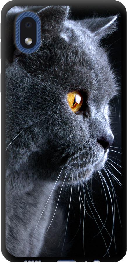 Чехол на Samsung Galaxy A01 Core A013F Красивый кот (3038b-2065-42517)