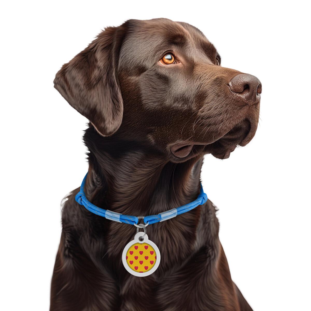 Шнурок для адресника из паракорда Waudog Smart ID светоотражающий М D 4 мм 42-76 см Синий (603912 Col)