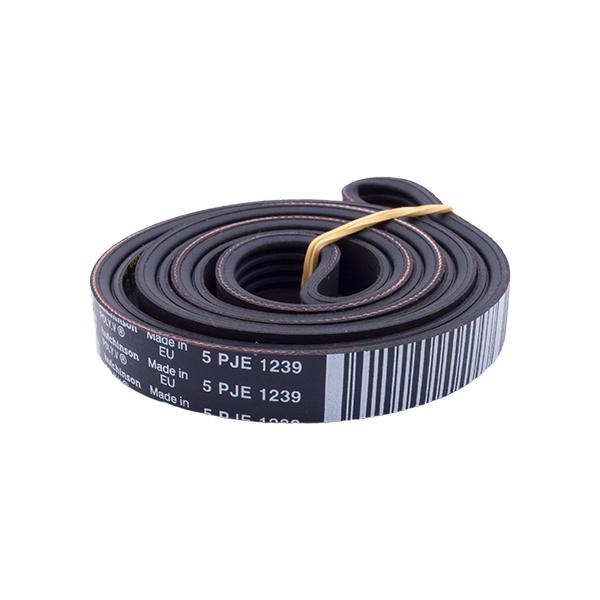 Ремень HUTCHINSON 1239J5 PJE для стиральной машины (481235818215)