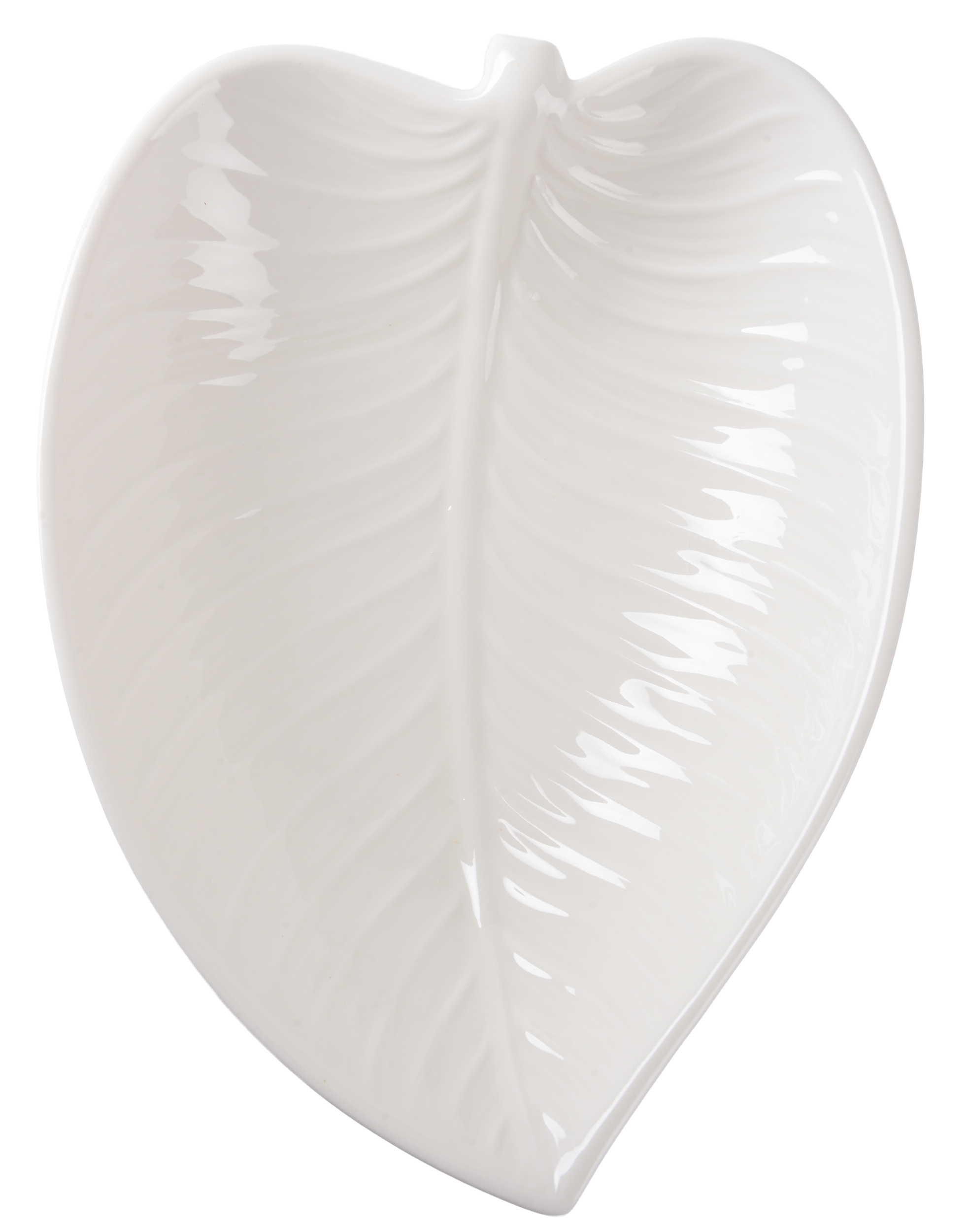 Блюдо LED Leaf Deep овальное фарфоровое 26,5х21x4,5 см (B010857)