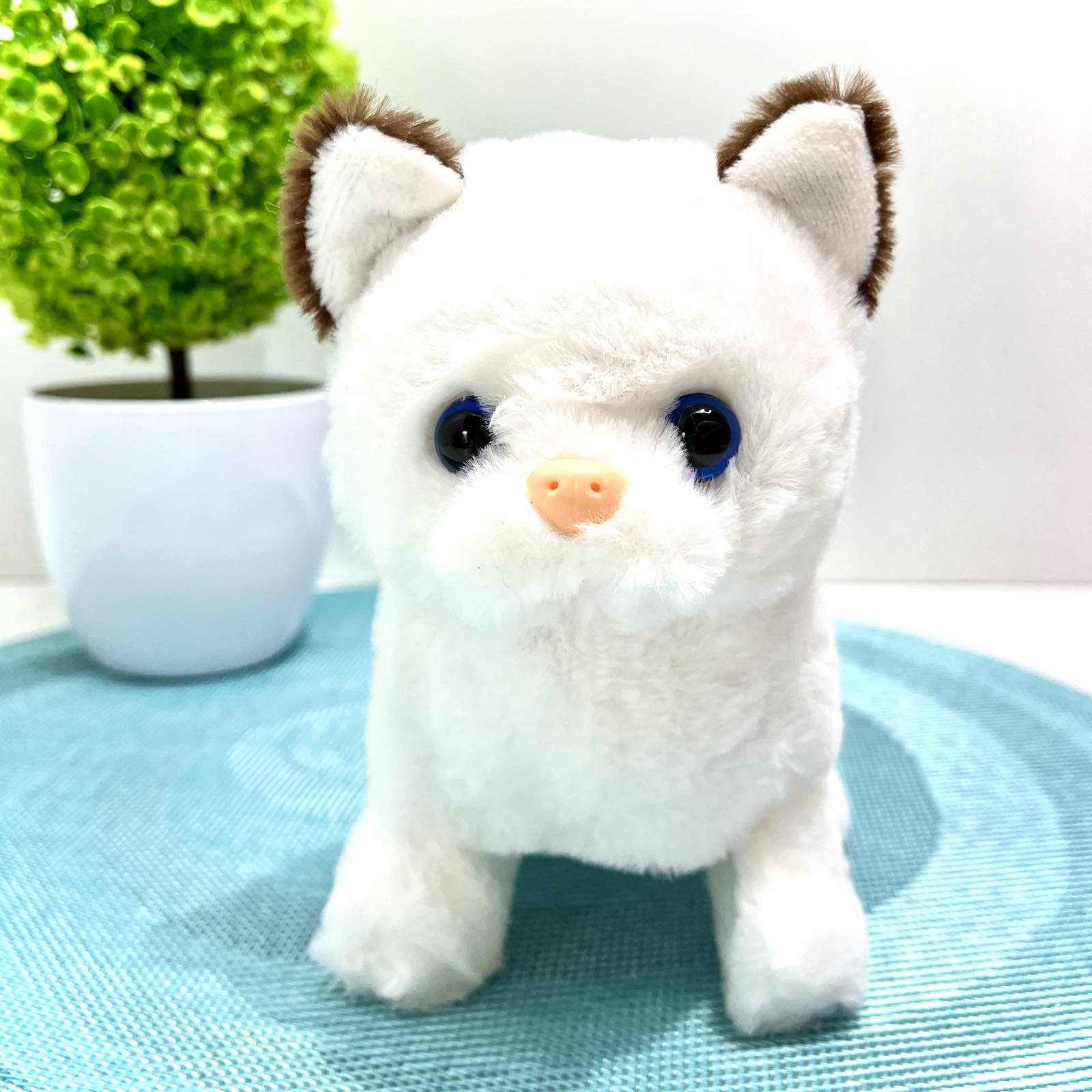 Интерактивная игрушка Котенок ходит/шевелит хвостиком в переноске Белый с коричневым (688-123A)