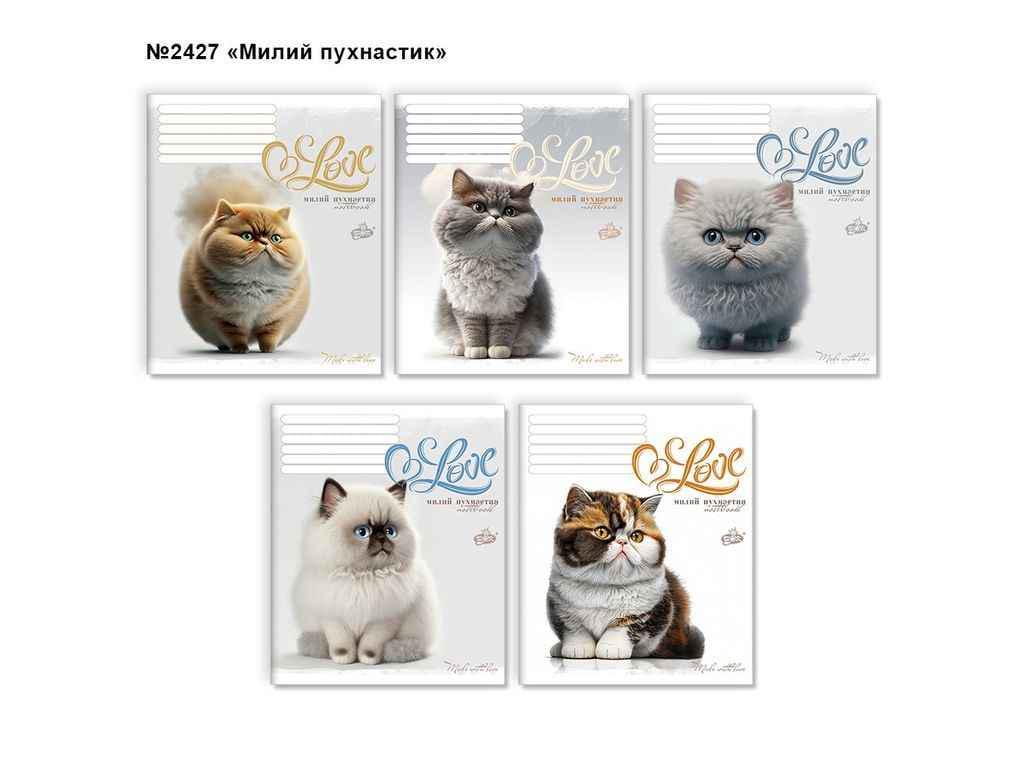 Тетрадь в клетку Бріск 18 л. 25 шт. ТВ-108 №2427 Милый пушистик (1065683)