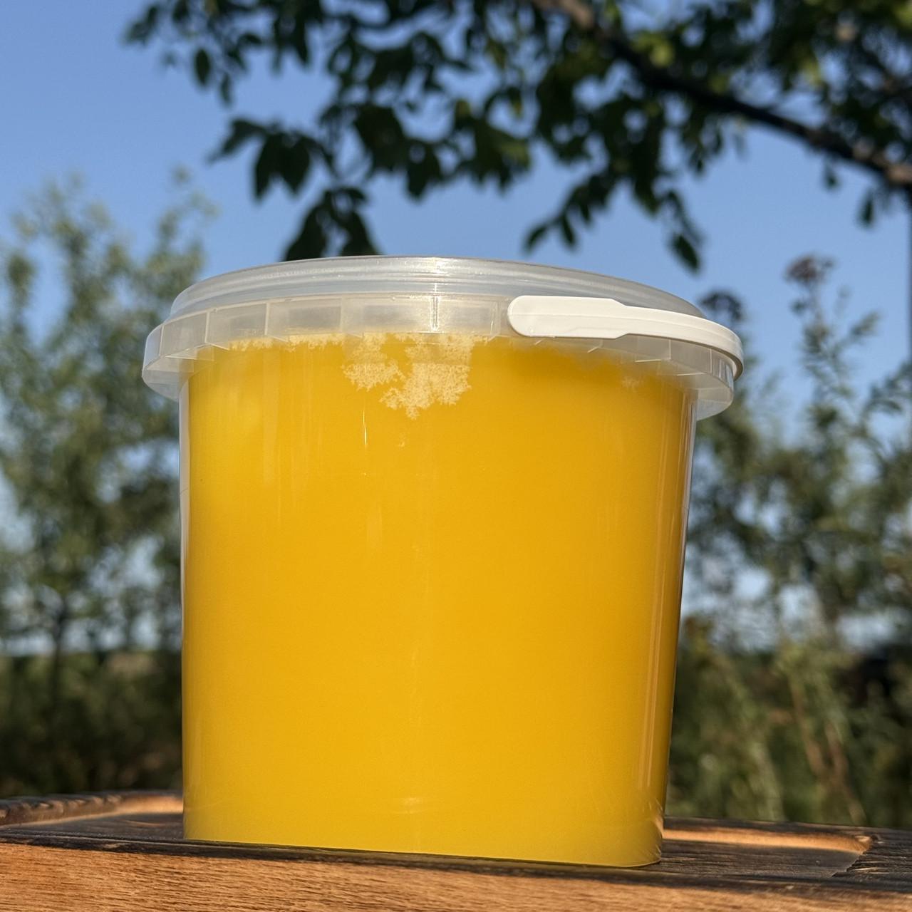 Мед Разнотравье/подсолнечник из кочевой пасеки 2025 г. 1 л (2689731493)