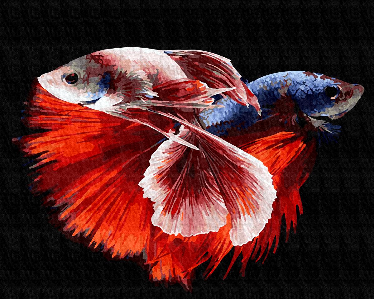 Картина по номерам Brushme Экзотические рыбки 40х50 см (GX31126)