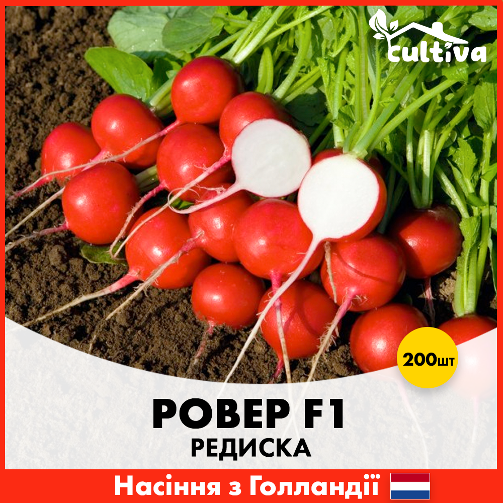 Семена редиса Bejo Ровер F1 200 шт. (00372)