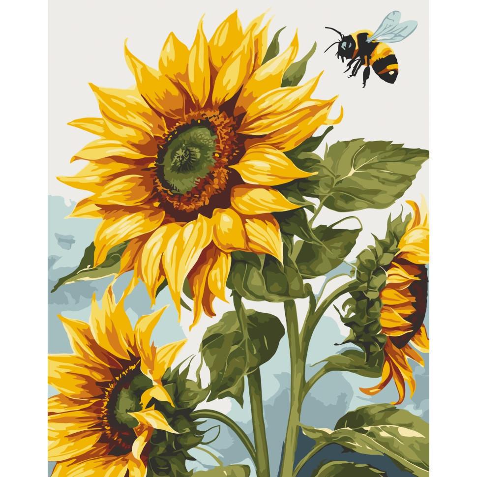 Картина по номерам ART CRAFT Подсолнухи 40x50 см (ACR-B-13098-AC)