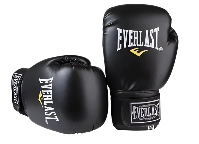 Боксерські рукавички Everlast 16 унцій Чорний (EF-0370-16)