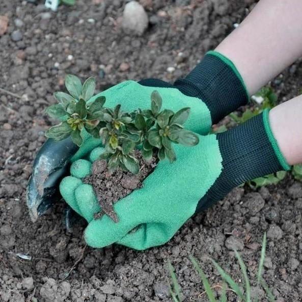 Перчатки Garden Gloves с когтями (GVS-1234) - фото 4