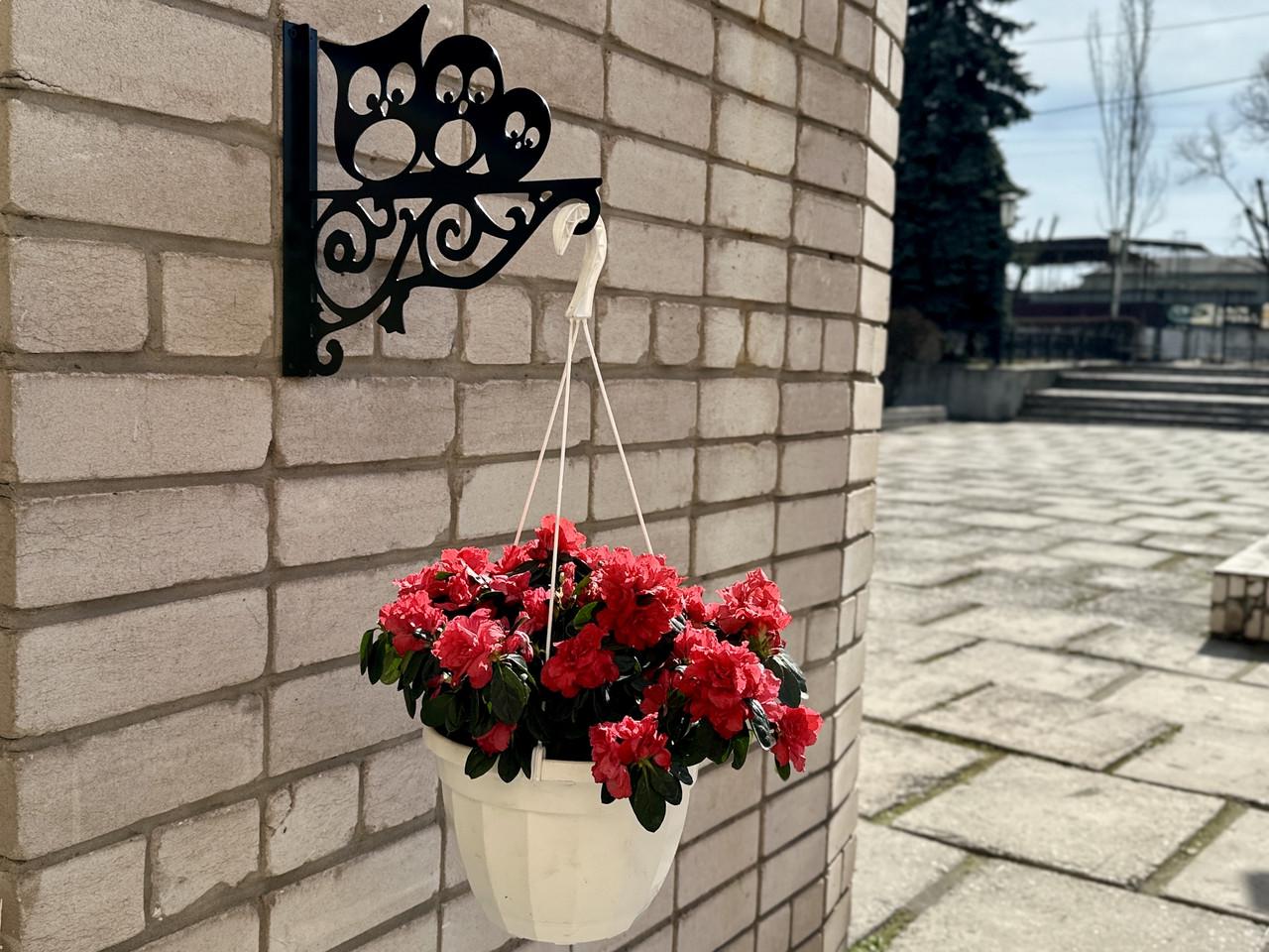 Кронштейн Совушки для кашпо с цветами метал Черный (М020) - фото 5 Кронштейн Совушки для кашпо с цветами метал Черный (М020) - фото 5