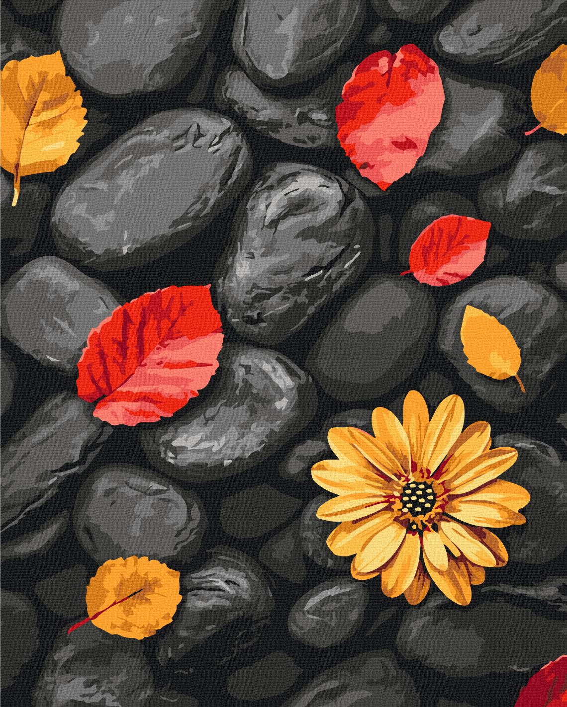 Картина по номерам Brushme Листья на камнях 40x50 см (BS54394)