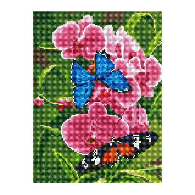 Алмазная мозаика Rainbow Art Танец бабочек 40х30 см (EJ1374)