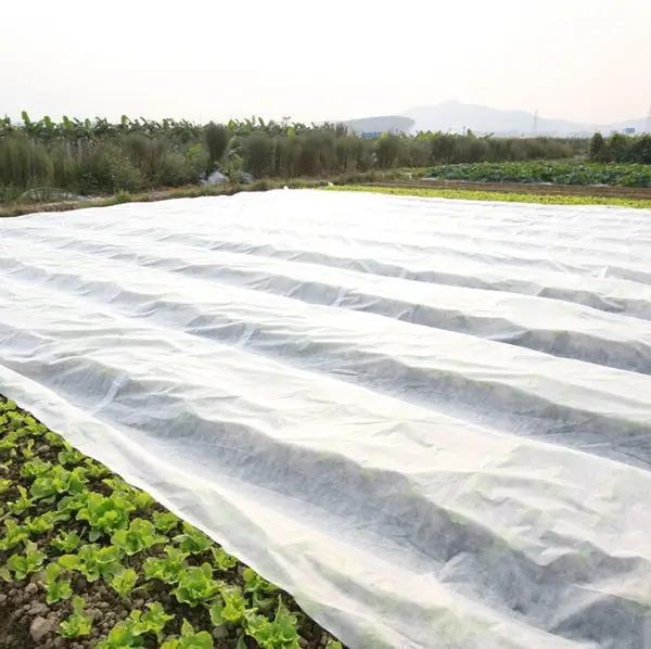 Агроволокно укрывное Love&Home 23 г/м2 1,6х10 м в пакетах (2AG23_1610) - фото 5 Агроволокно укрывное Love&Home 23 г/м2 1,6х10 м в пакетах (2AG23_1610) - фото 5