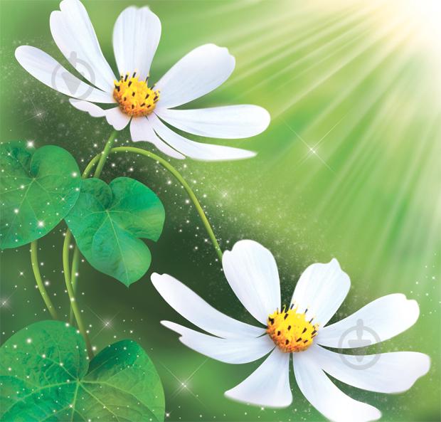 Фотообои Ника Космея 140х145