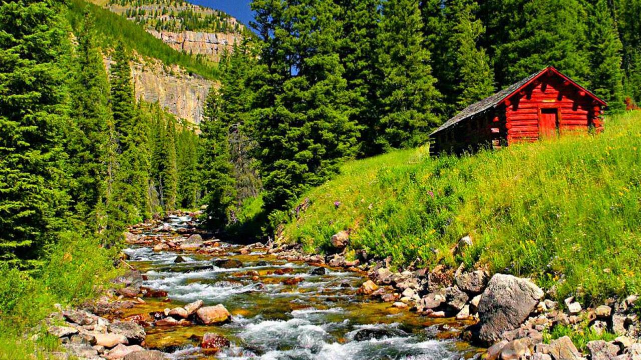Картина на холсте Природа 55х85 см (PR146L)