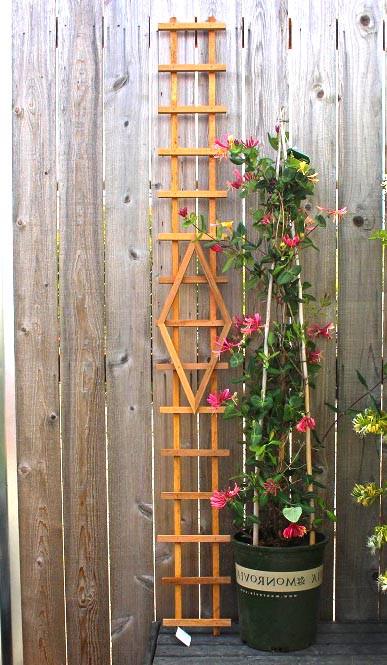 Опора для плетущихся из дерева Джалан Сиена (ОДВ-003705)