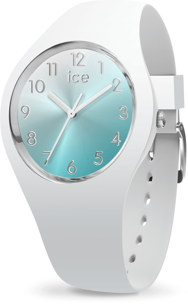 Часы кварцевые Ice-Watch (15745)