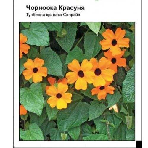 Семена цветов Частный дом Тунбергия Черноглазая красавица 0,1 г (SZ-0999)
