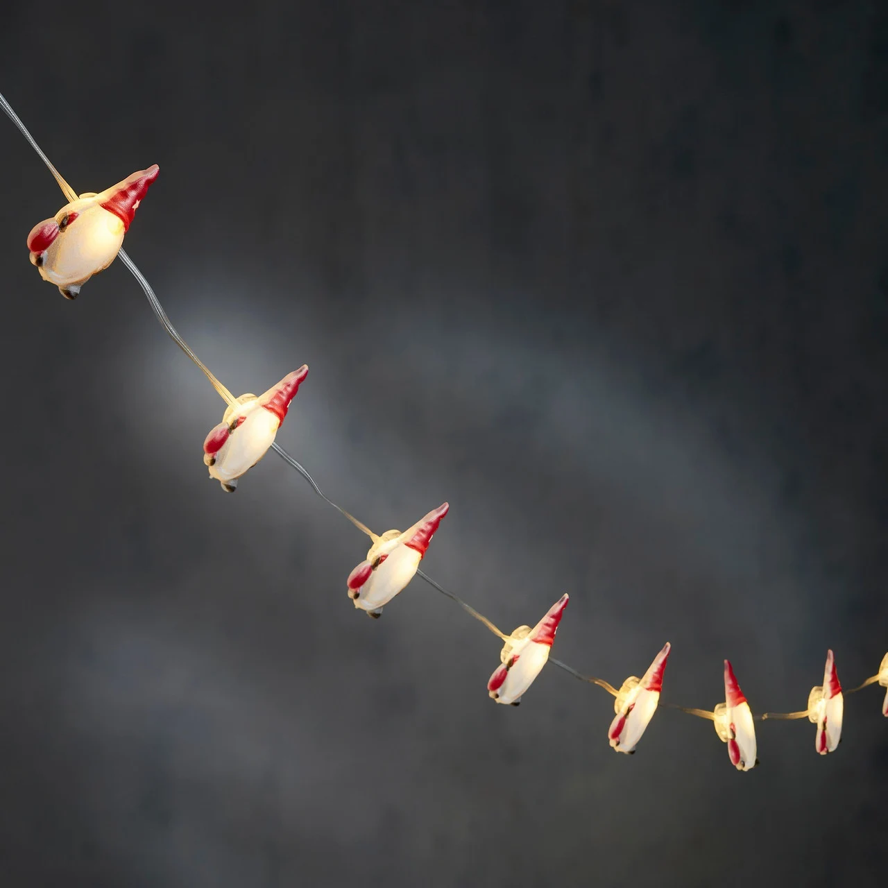 Гирлянда-струна Luca Lighting 1,3 м 10 LED теплый белый (TIM_8720967822850/v2)