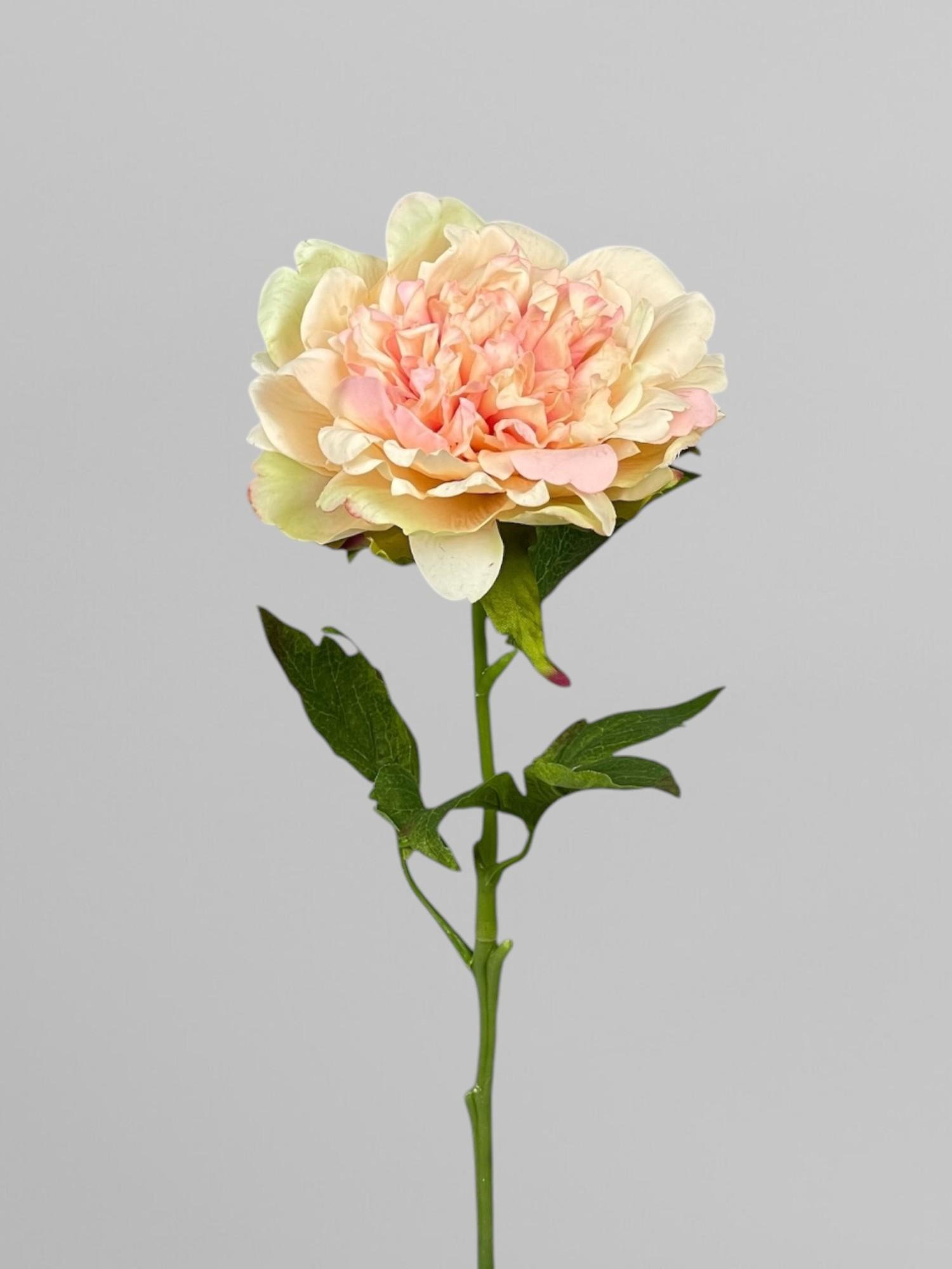 Искусственный пион terry для оформления интерьера 59 см Нежно-персиковый (К05005)