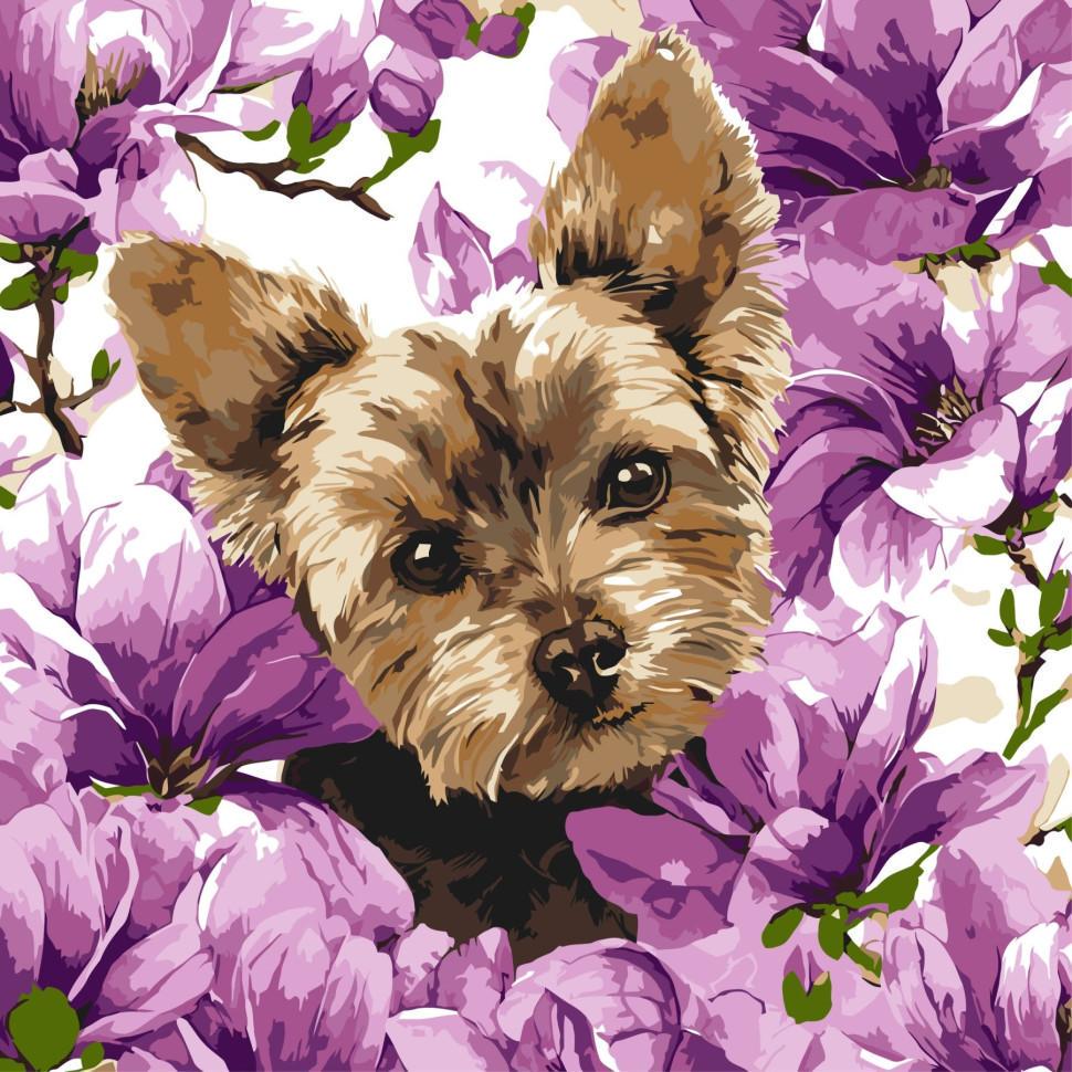 Картина по номерам Ideyka Йорк в магнолии 40x40 см (KHO6796)