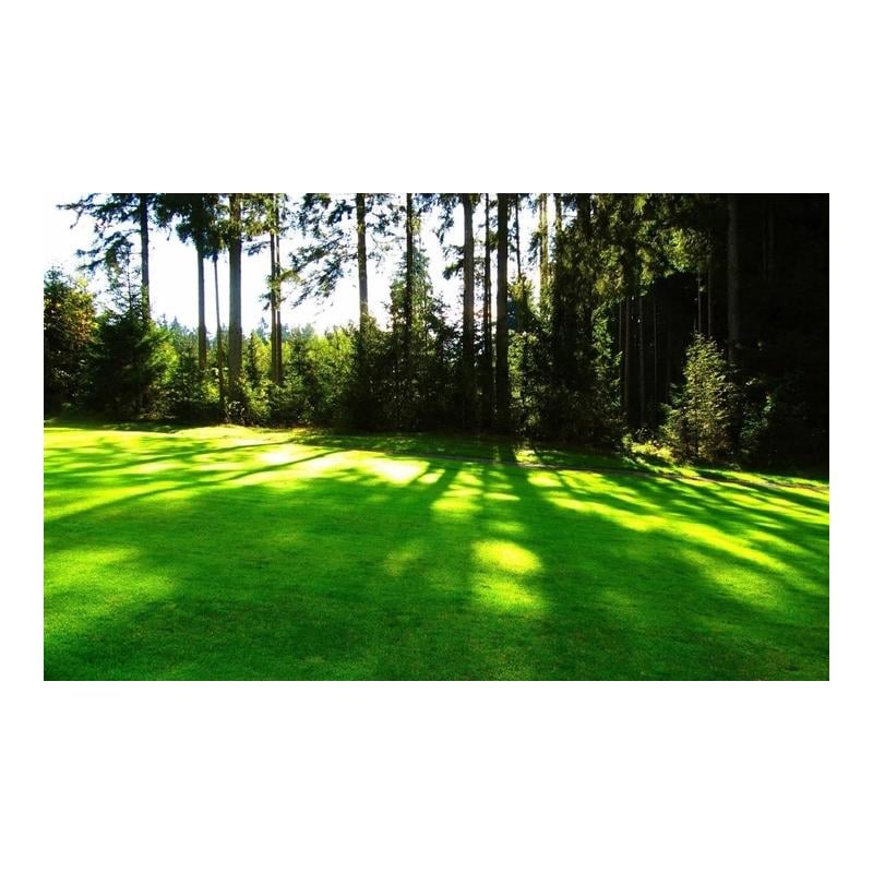 Семена газонной травы Трави України теневые 8 кг - фото 8 Семена газонной травы Трави України теневые 8 кг - фото 8