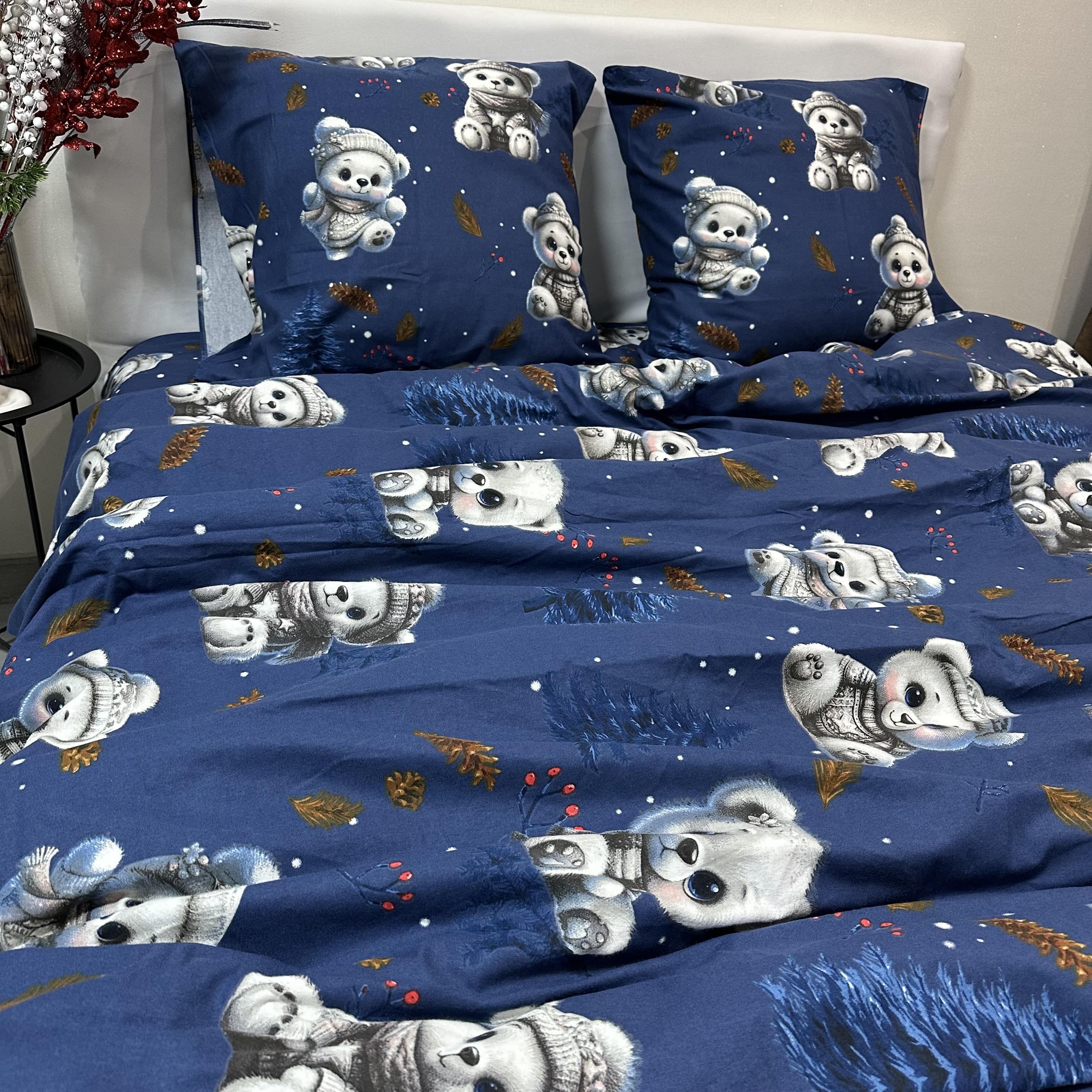 Комплект постільної білизни байкова Зимовий євро Синій (байка 3-3)