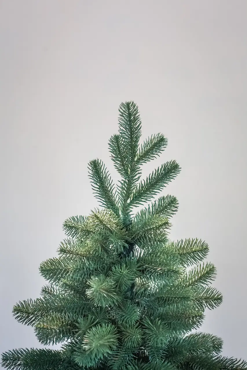 Искусственная елка литая Роял 2,1 м - фото 2 Искусственная елка литая Роял 2,1 м - фото 2