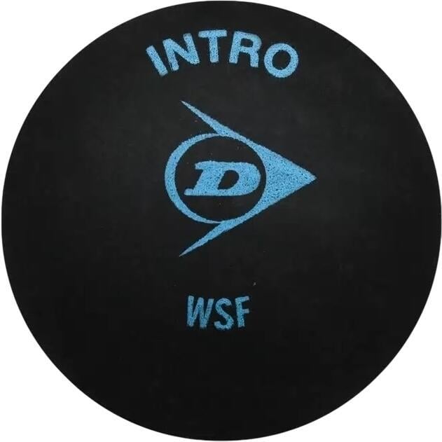 М'яч для сквошу Dunlop INTRO Чорно-синій (700105INTRO)