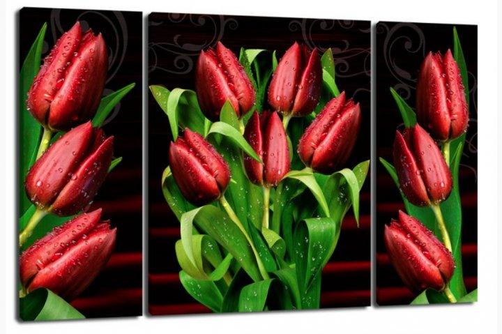 Картина модульная на холсте DK Триптих Тюльпаны 50x80 см (TRP-939)