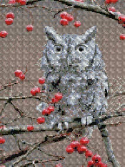 Алмазна мозаїка Strateg Сова на гілці 30х40 см (НХ304) Алмазна мозаїка Strateg Сова на гілці 30х40 см (НХ304)