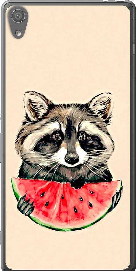 Чехол на Sony Xperia XA F3112 Енотик с арбузом (4605t-399-42517)