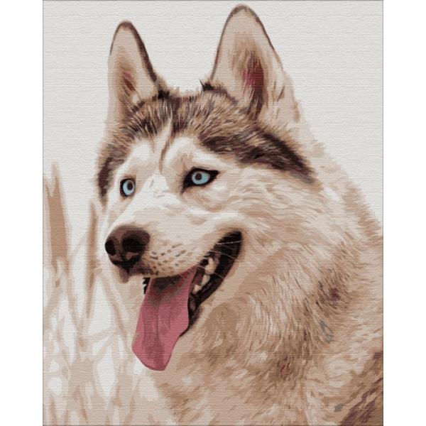 Картина по номерам Brushme Сироманец 40х50 см в термопакете (BS51763-mt)