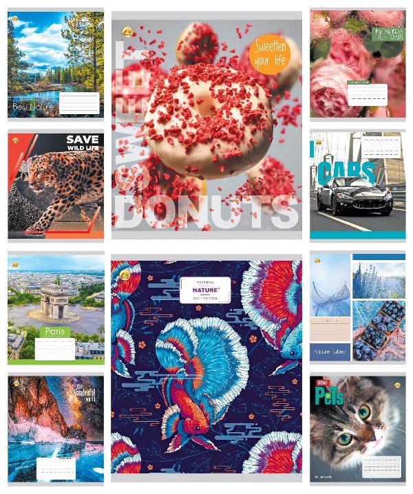 Зошити учнівські Тетрада 31400 Мікс КВ4 36 арк. 20 шт. в уп. (MTT-164604)