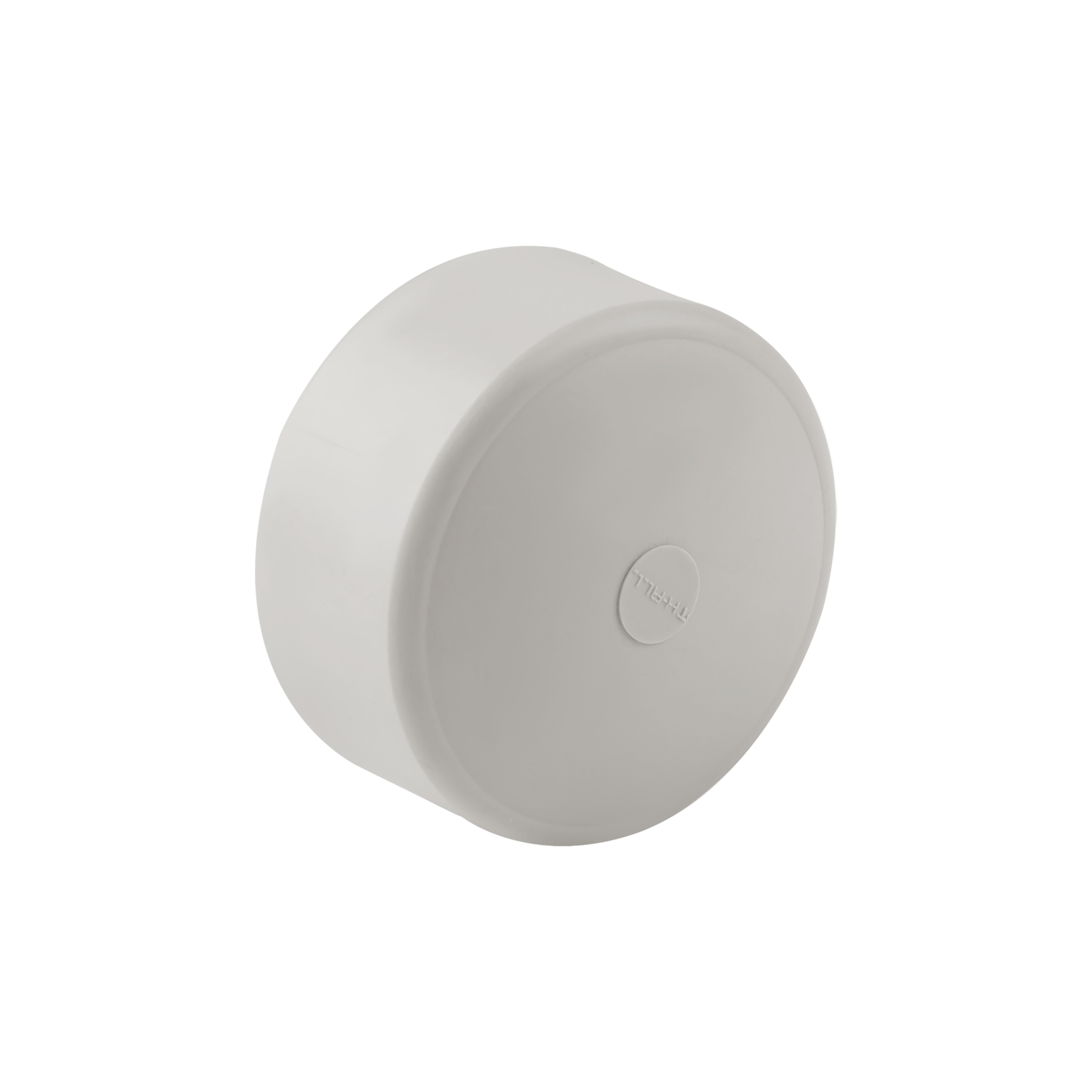 Заглушка PPR Thermo Alliance 50 (SD00029208)