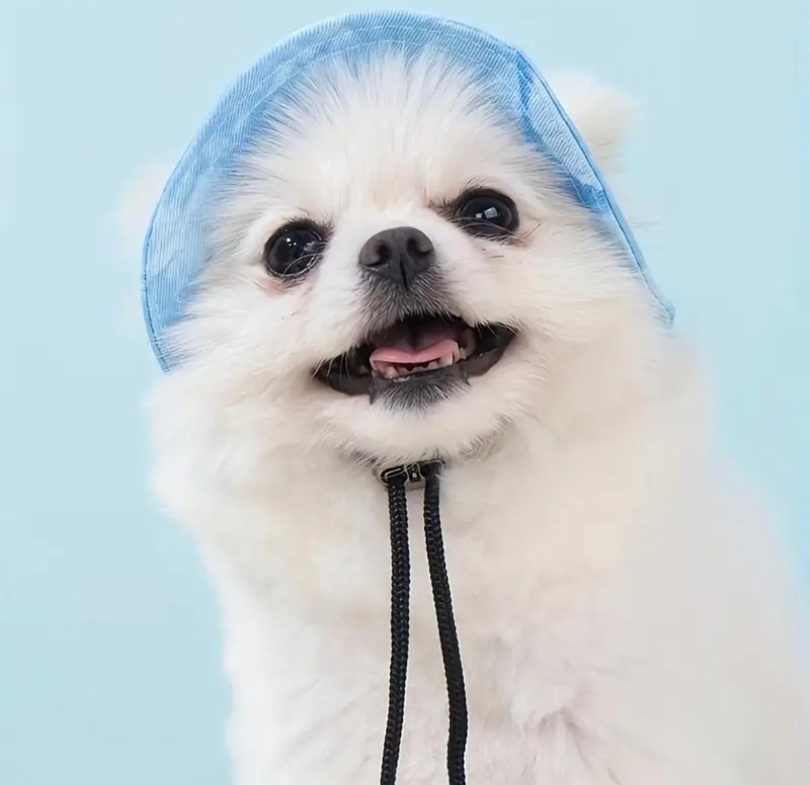 Панама для животных OMMY М Light blue (3453434) - фото 4 Панама для животных OMMY М Light blue (3453434) - фото 4