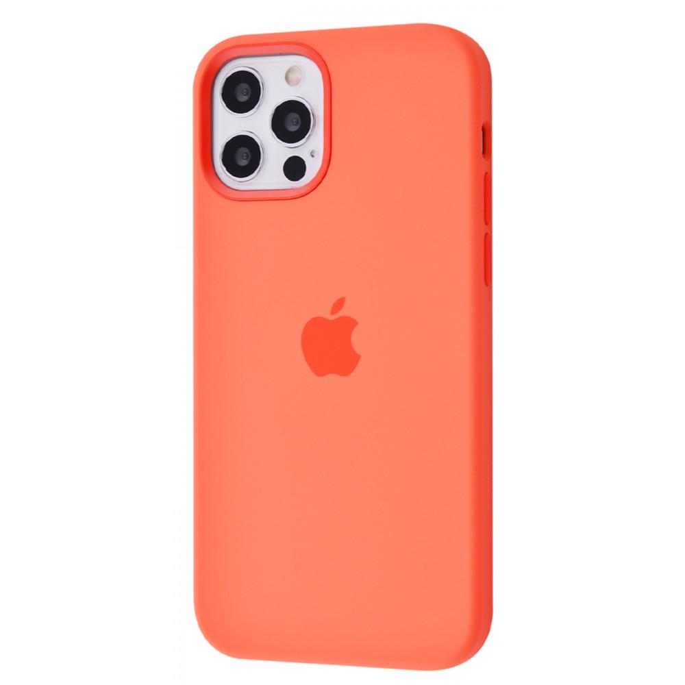 Чохол PRC Silicone Case with MagSafe для iPhone 12/12 Pro Pink citrus