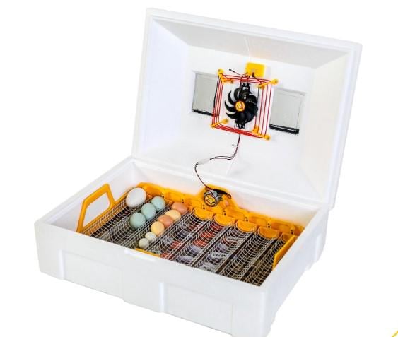 Инкубатор автоматический Теплуша Люкс 72 с ТЭНом и влагомером и резервным питанием