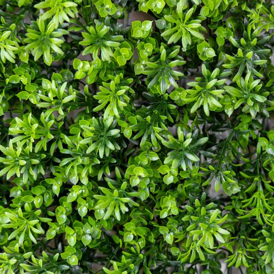 Декоративная панель из искусственной зелени Травка 40х60 см (9224-007) - фото 2 Декоративная панель из искусственной зелени Травка 40х60 см (9224-007) - фото 2