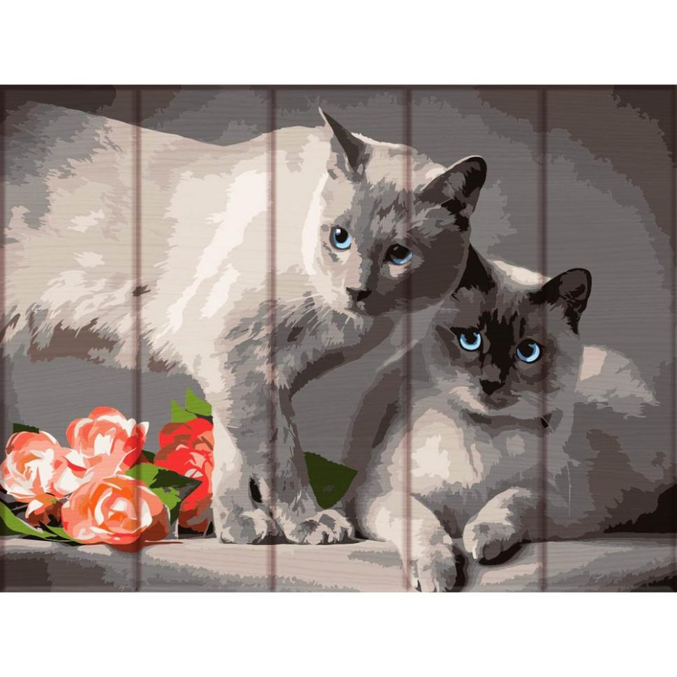 Картина за номерами ArtStory Сіамські коти 30x40 см (ASW128)
