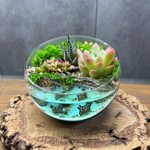 Флорариум с суккулентами и имитацией водоема Подводный мир 12 см