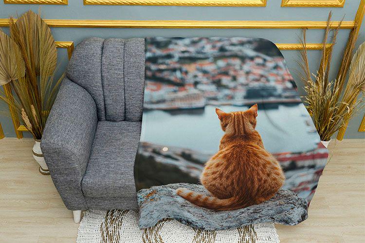 Плед 3D Kitten in the Big City плюш двошаровий 135х150 см (114326-2)