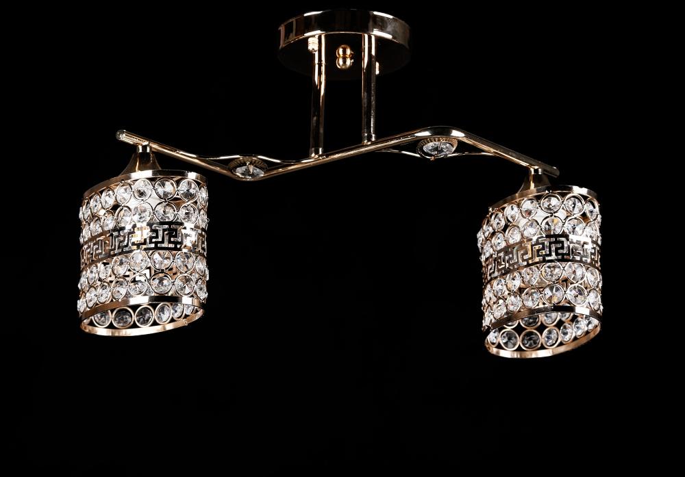 Люстра с плафонами Ray L3271/2 FG (IR005978)