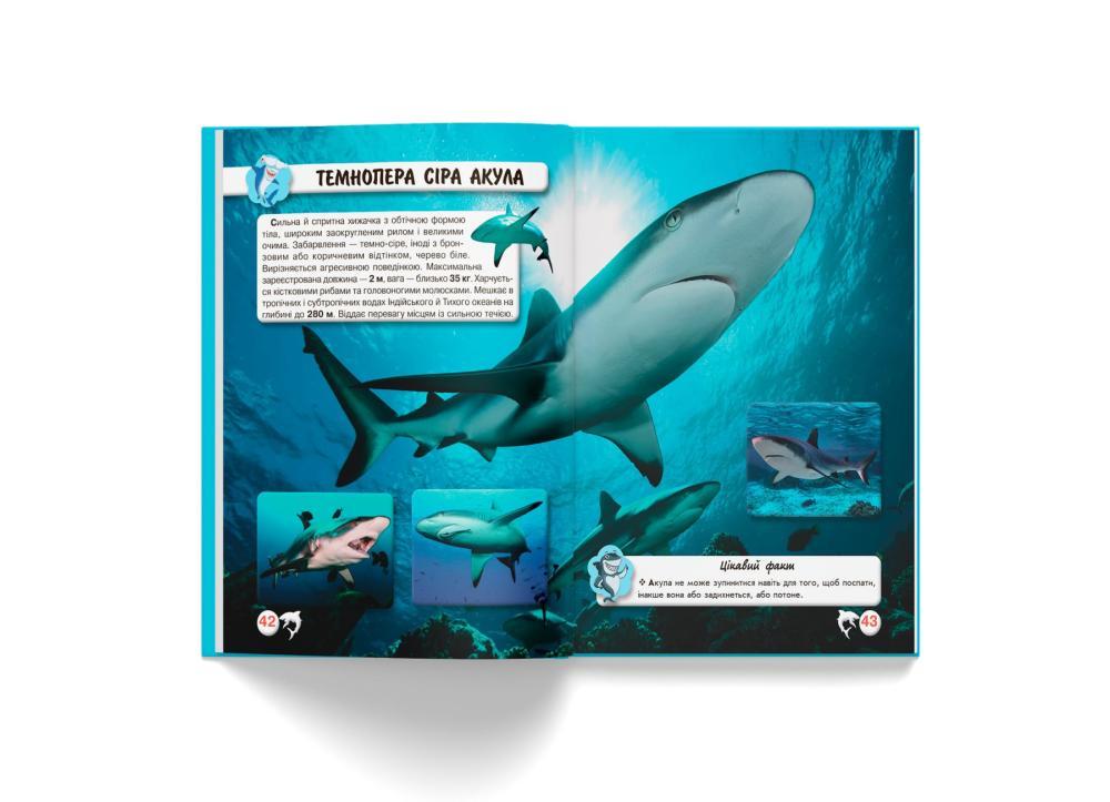 Книга "Світ навколо нас. Акули" Кристалл Бук (F00020894) - фото 5 Книга "Світ навколо нас. Акули" Кристалл Бук (F00020894) - фото 5
