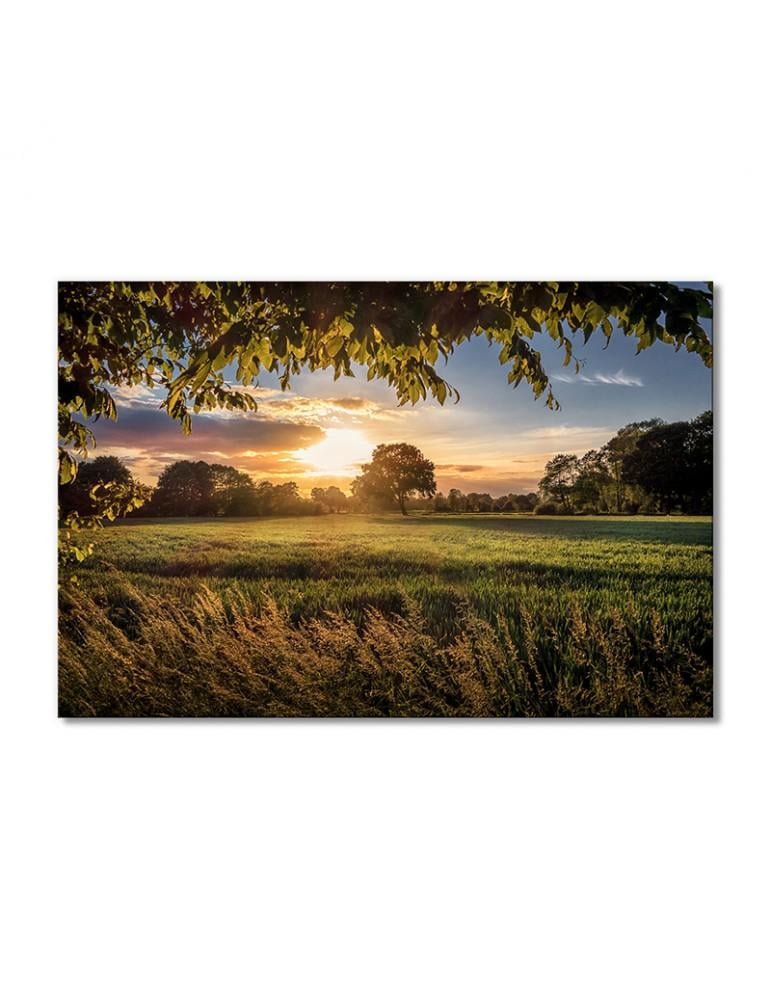 Картина модульная Природа поле зелень небо облака 1 модуль 40х60 см